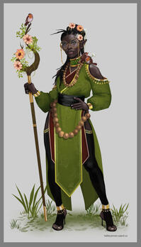 Fancy Druid Concept